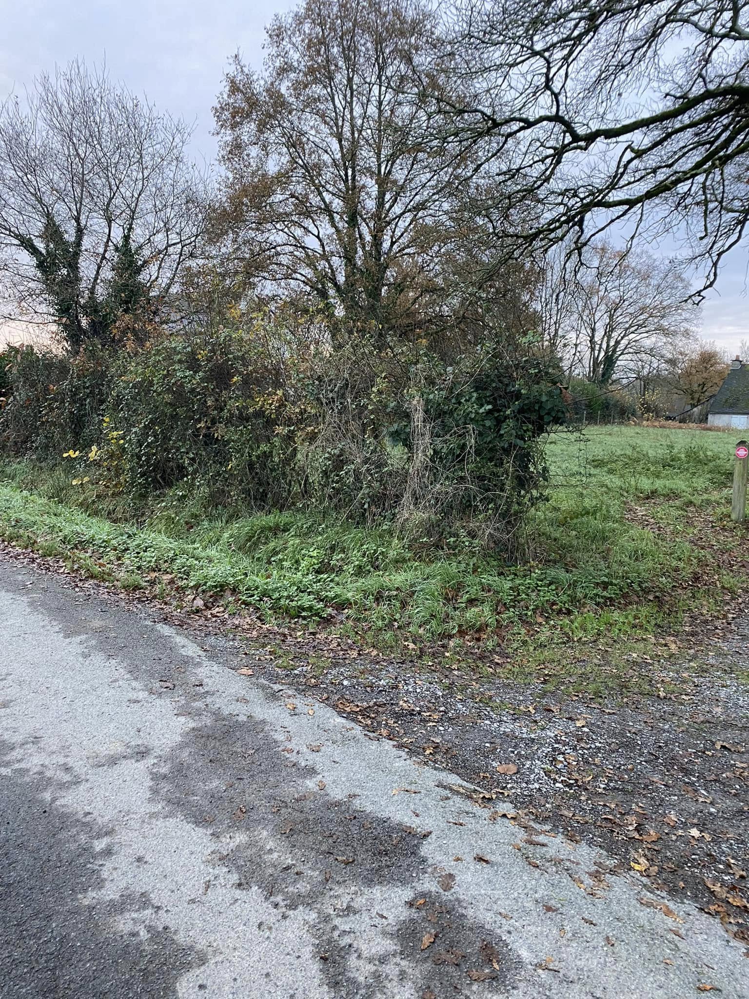 Parcs et Jardins redon - Entretien de jardin Pays de Redon