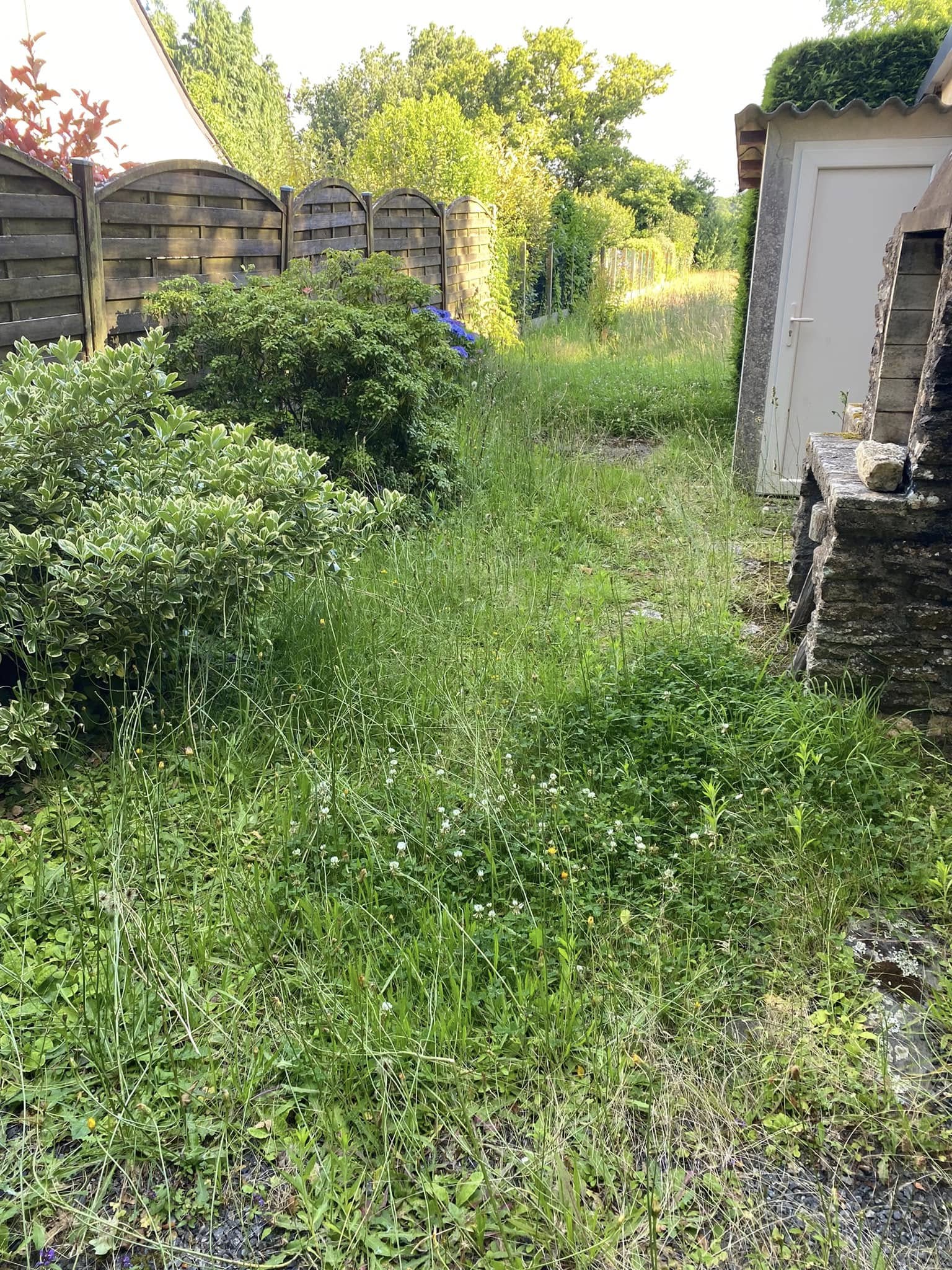 Before image alt