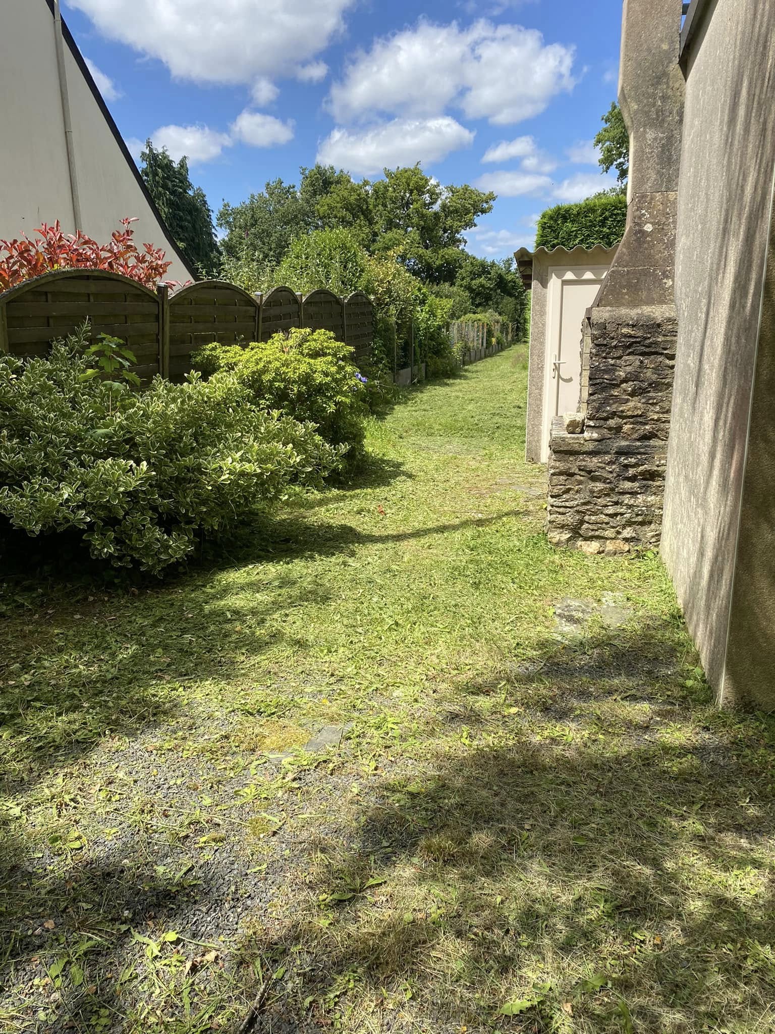 After image alt